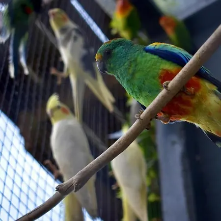 Benb De Walvis 3* Krimpen aan de Lek