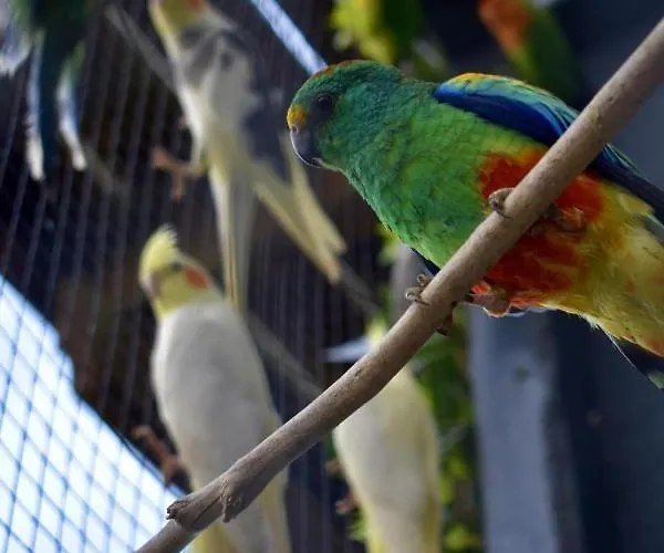 Benb De Walvis 4* Krimpen aan de Lek